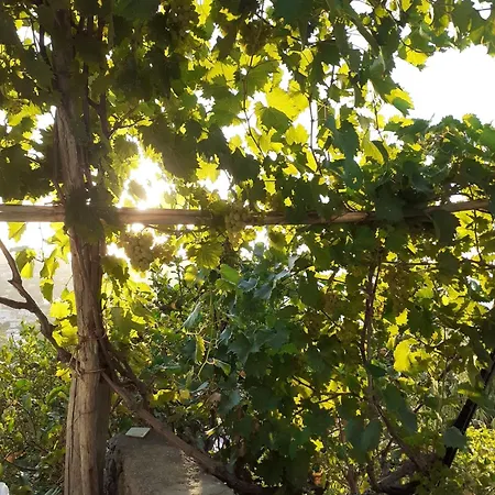 Casa Lucia Rum i privatbostad Ischia